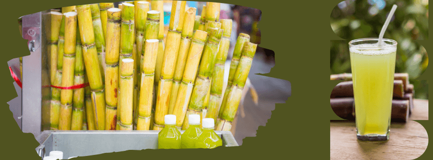 Sugarcane Machine Business Profit Calculator